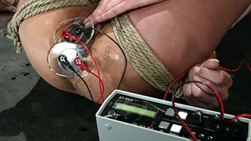 Precision electrical stimulation and toy play